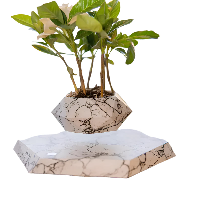 GeoSpin- Jardinière géométrique rotative