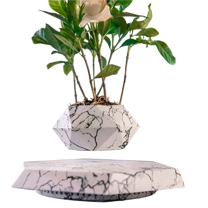 GeoSpin- Jardinière géométrique rotative