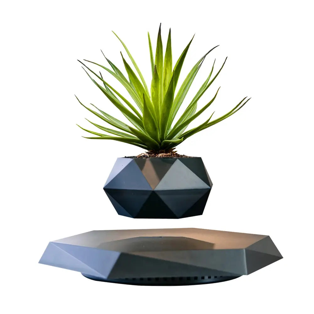 GeoSpin- Jardinière géométrique rotative