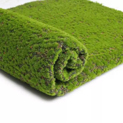 EverMoss - Tapis de mousse naturel et polyvalent conservé