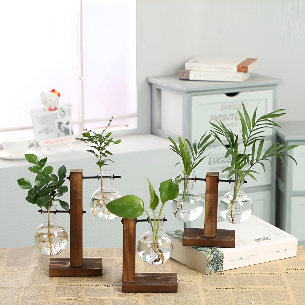RootRise - Support de plantes moderne en bois et verre