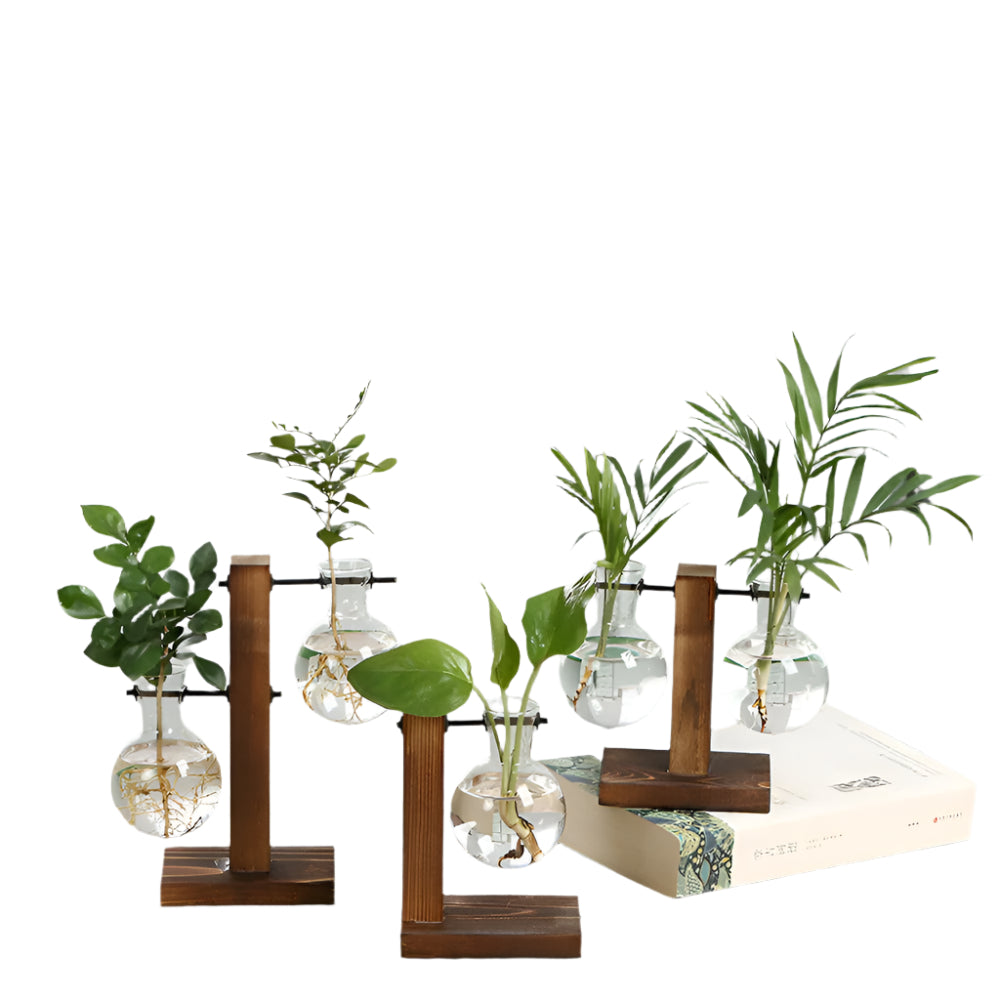 RootRise - Support de plantes moderne en bois et verre
