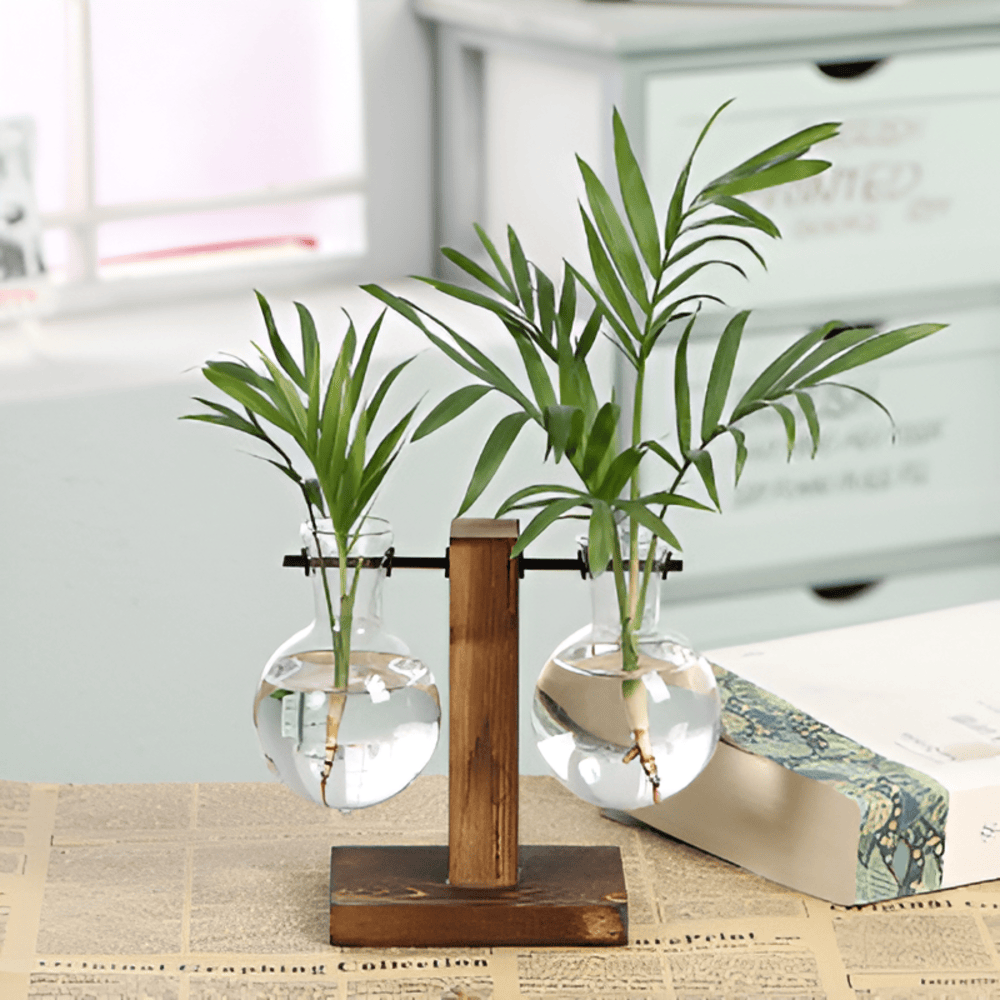 RootRise - Support de plantes moderne en bois et verre