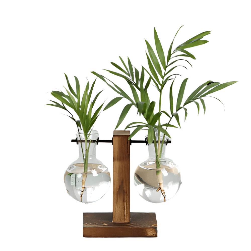 RootRise - Support de plantes moderne en bois et verre