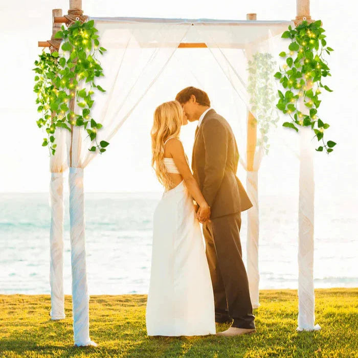 ForestVines - Douces lianes lumineuses pour une décoration intérieure élégante