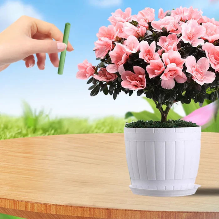 EcoBloom Nutriments – Engrais durable pour un entretien des plantes facile et sustainable