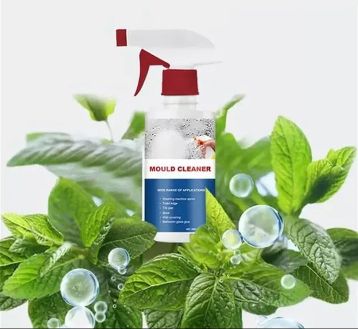 EcoClean – Spray Anti-Moisissure Naturel Sans Javel