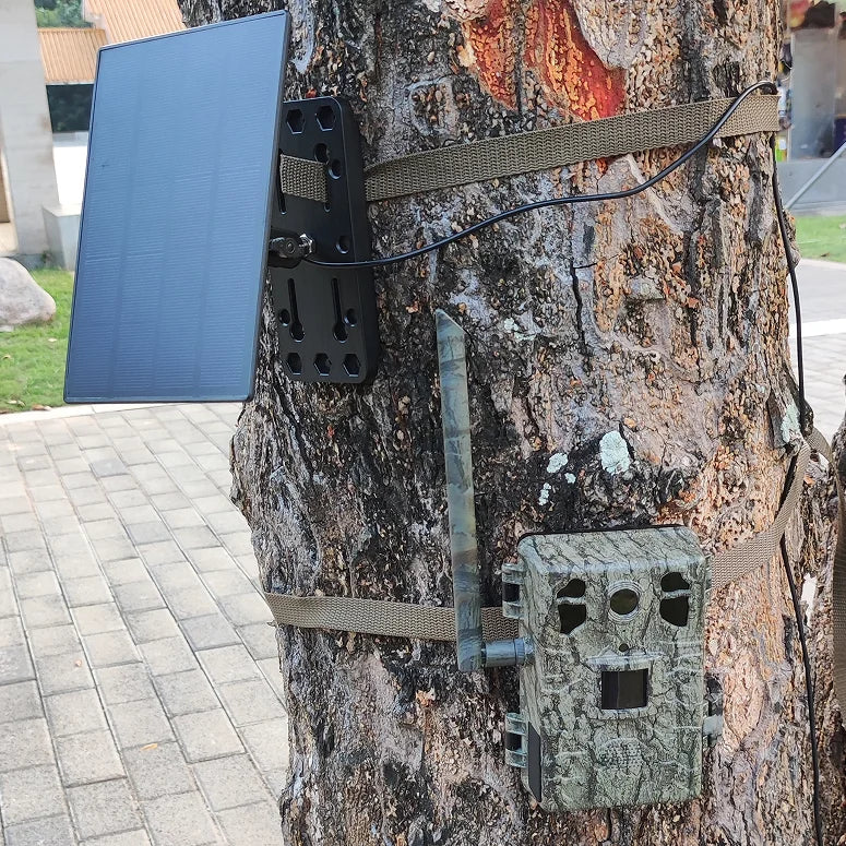 WildView - Caméra de surveillance solaire pour la faune sauvage