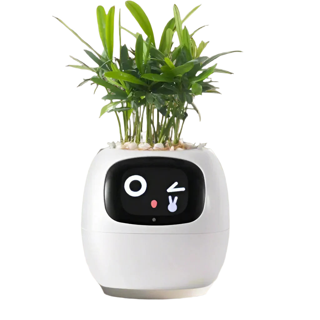 PlantPal - Jardinière intelligente avec animation