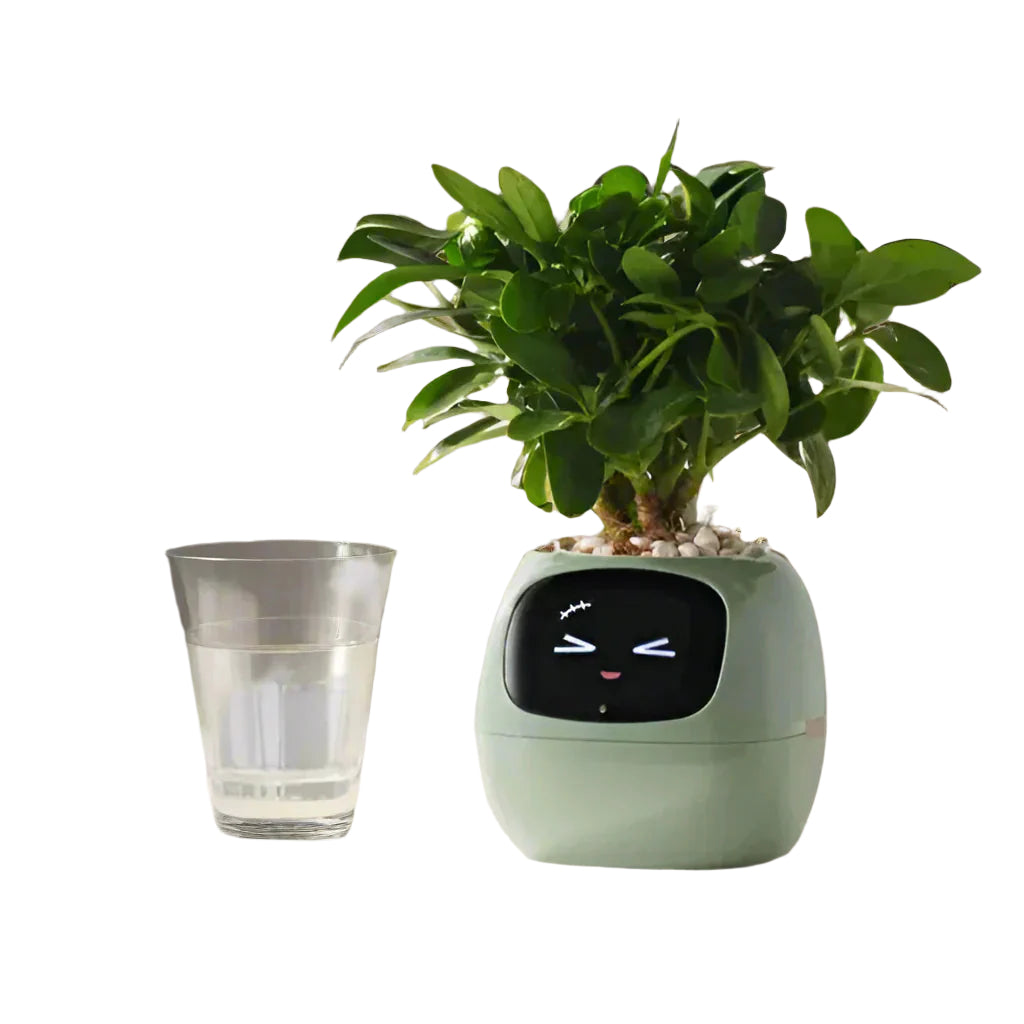 PlantPal - Jardinière intelligente avec animation