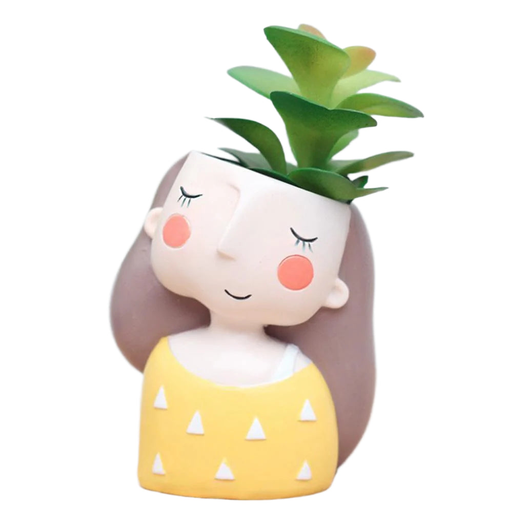 Cache-pot moderne pour succulentes avec double usage