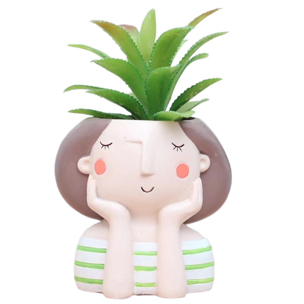 Cache-pot moderne pour succulentes avec double usage