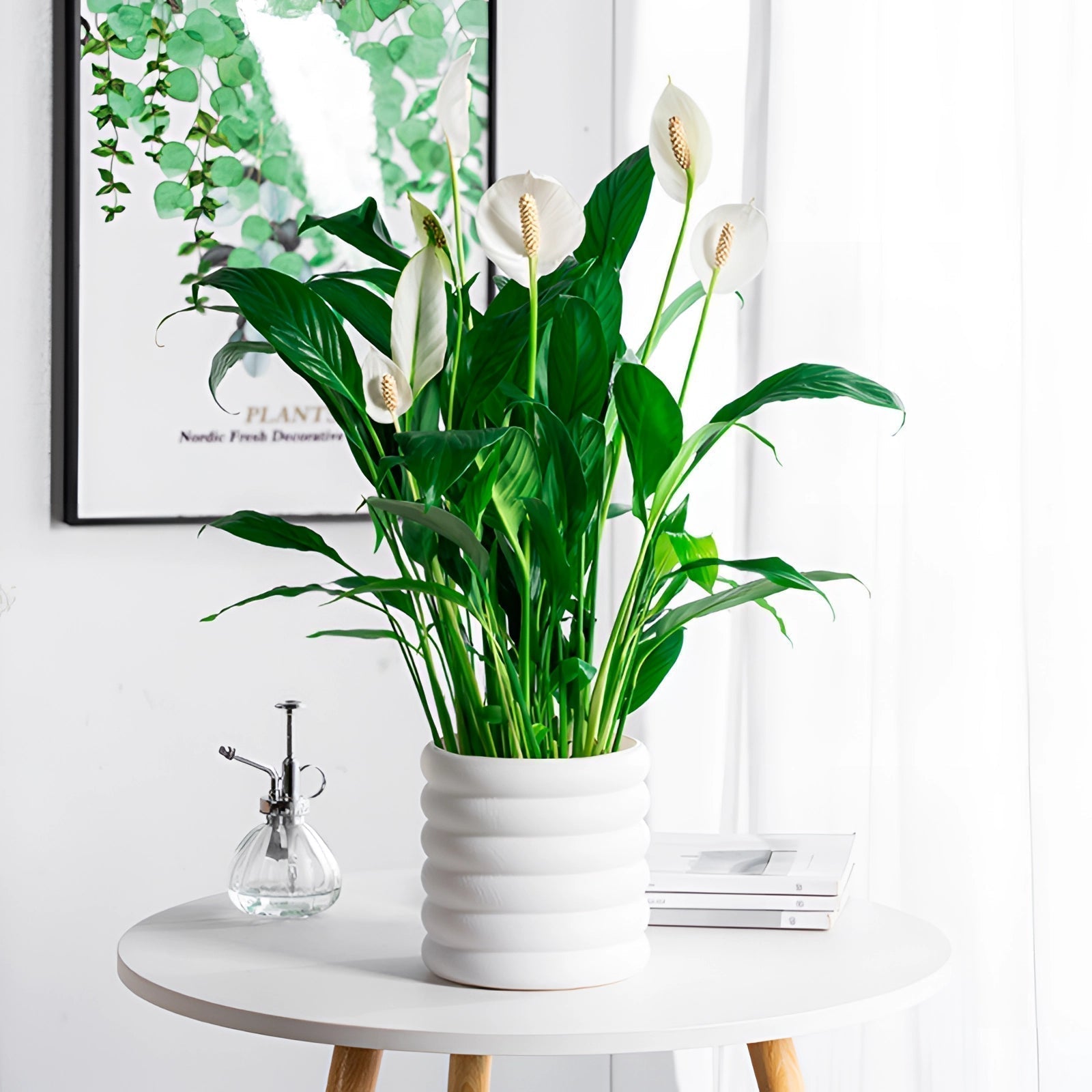 PureLeaf – Plante d’intérieur élégante, fraîche et purifiante