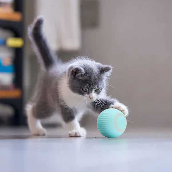 WhiskerWhirl - Jouet électronique interactif en forme de boule roulante pour chat