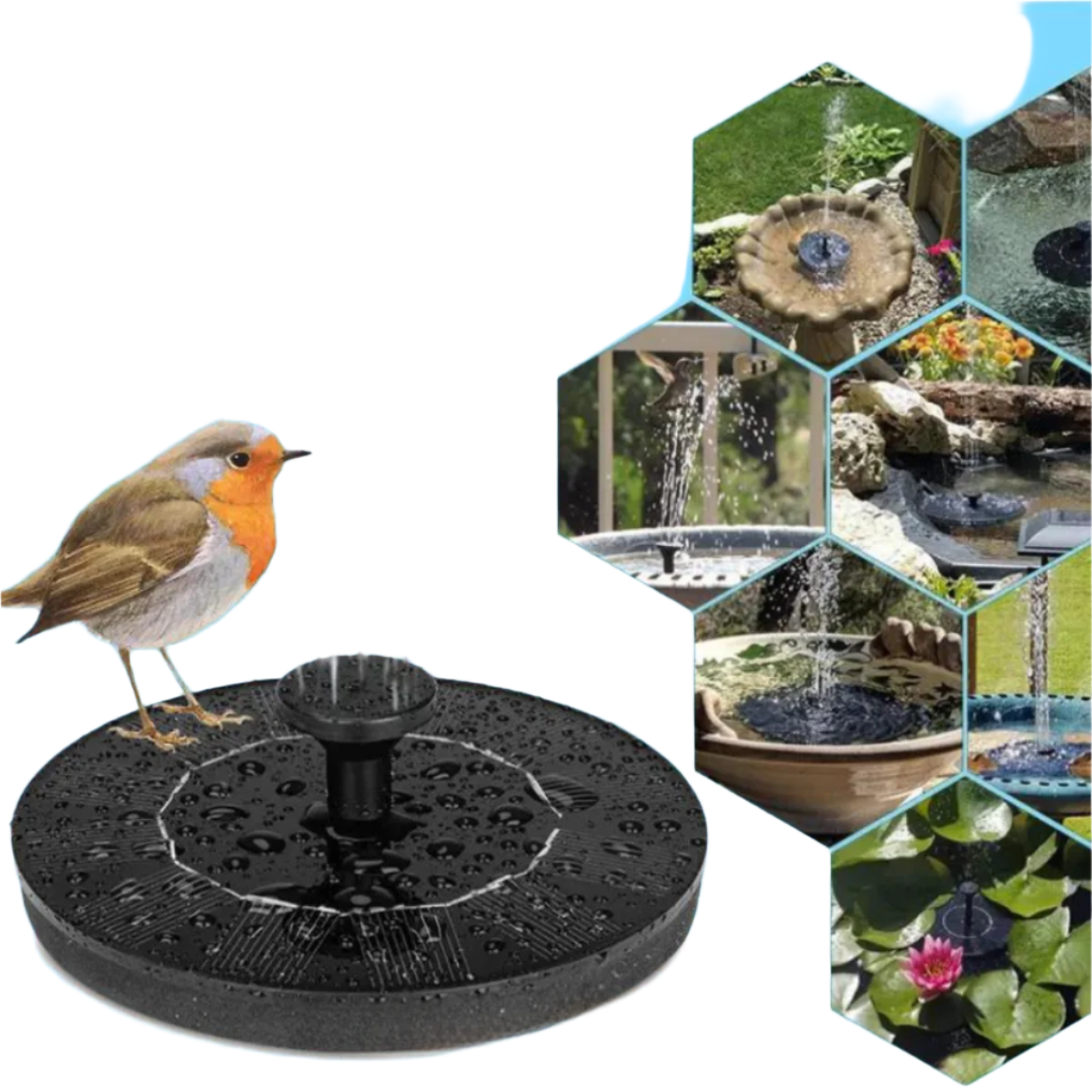 AquaVibe – Système d'irrigation solaire avec jeux d'eau