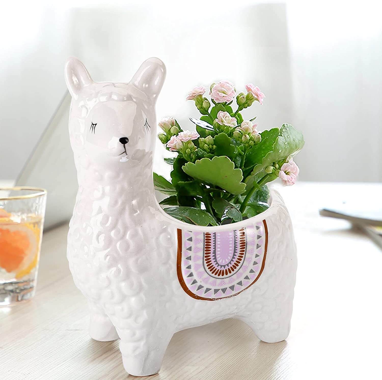 Pot de plante succulente en céramique avec motif animal