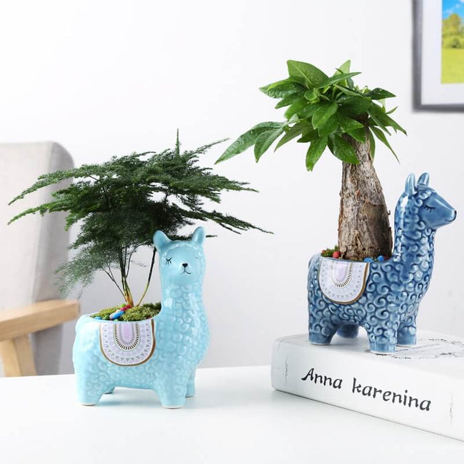 Pot de plante succulente en céramique avec motif animal