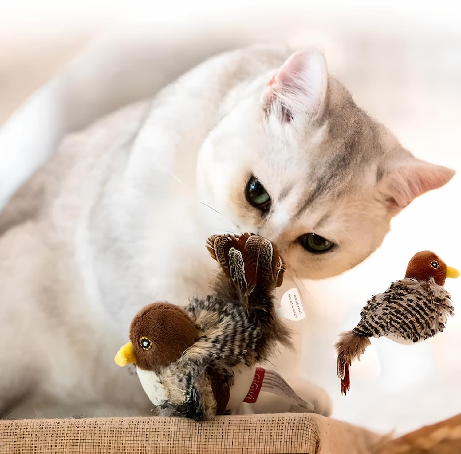 FugleVen Jouet Interactif pour Chats avec Mouvement Réaliste