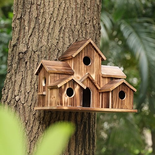 BirdHouse - Abri de nidification fonctionnel pour oiseaux