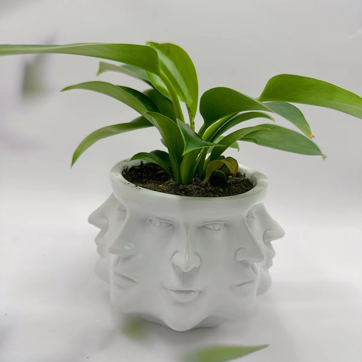 ArtFace 3D Pot de Fleurs en Céramique – Pot au Design de Visage Moderne