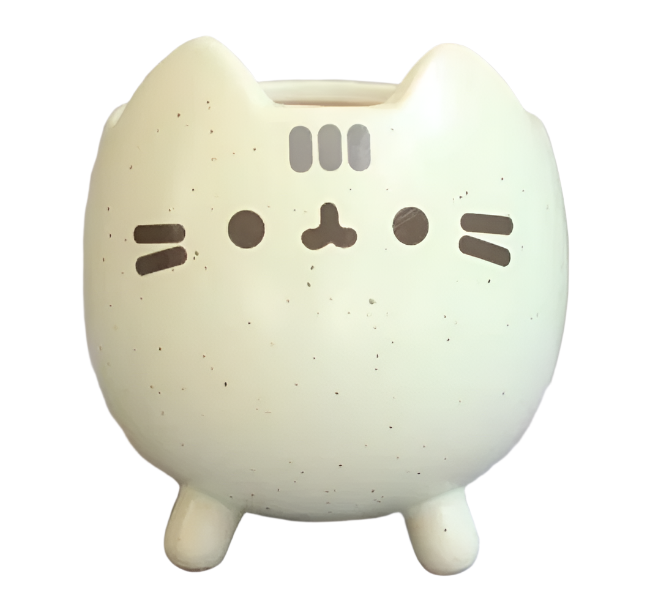 WhiskerBloom - Pot de fleurs ludique en forme de chat pour plantes grasses