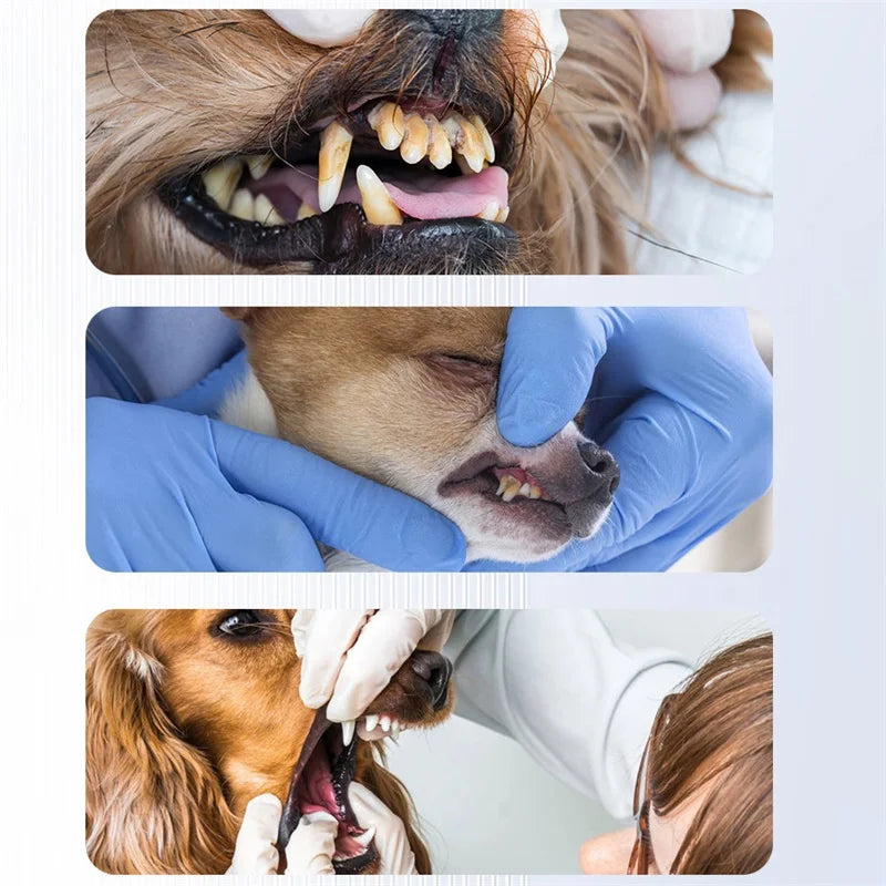 Brosse à dents électrique pour chien PureSpark