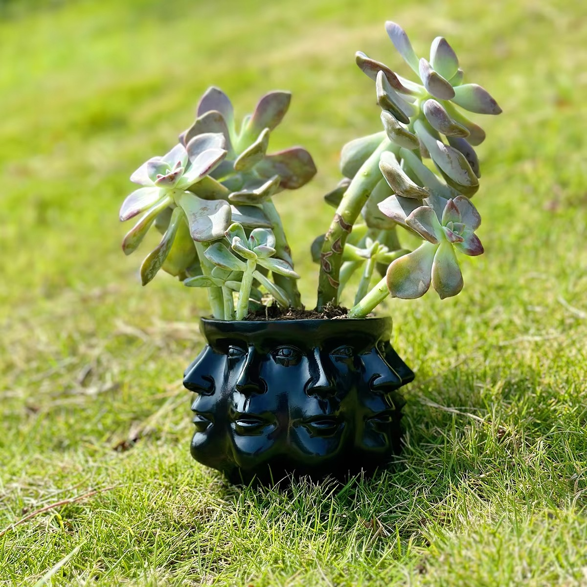 ArtFace 3D Pot de Fleurs en Céramique – Pot au Design de Visage Moderne