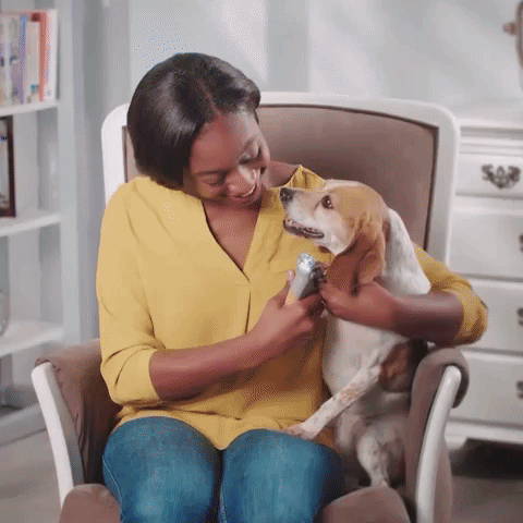 Meilleur coupe-ongles pour chiens avec capteurs rapides