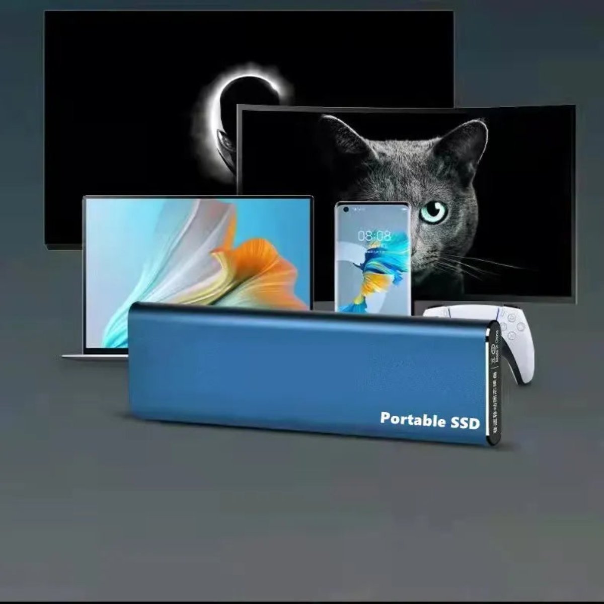 SpeedVault - Disque dur à état solide portable (SSD)