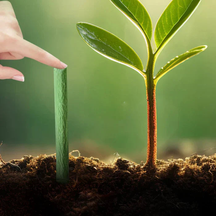 EcoBloom Nutriments – Engrais durable pour un entretien des plantes facile et sustainable