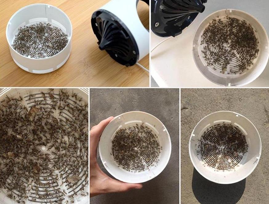 Zapper à moustiques électrique Master