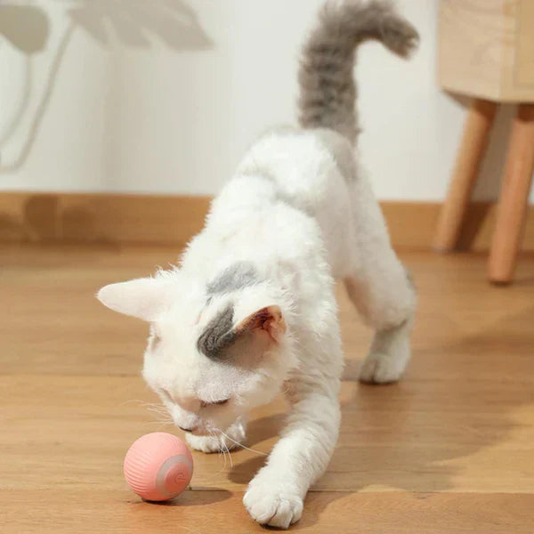 WhiskerWhirl - Jouet électronique interactif en forme de boule roulante pour chat