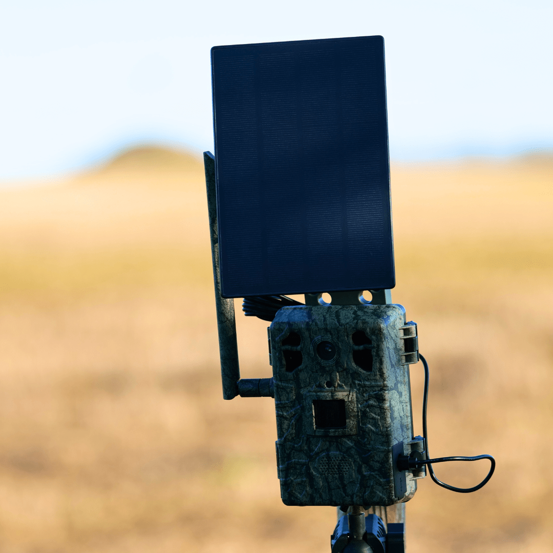 WildView - Caméra de surveillance solaire pour la faune sauvage
