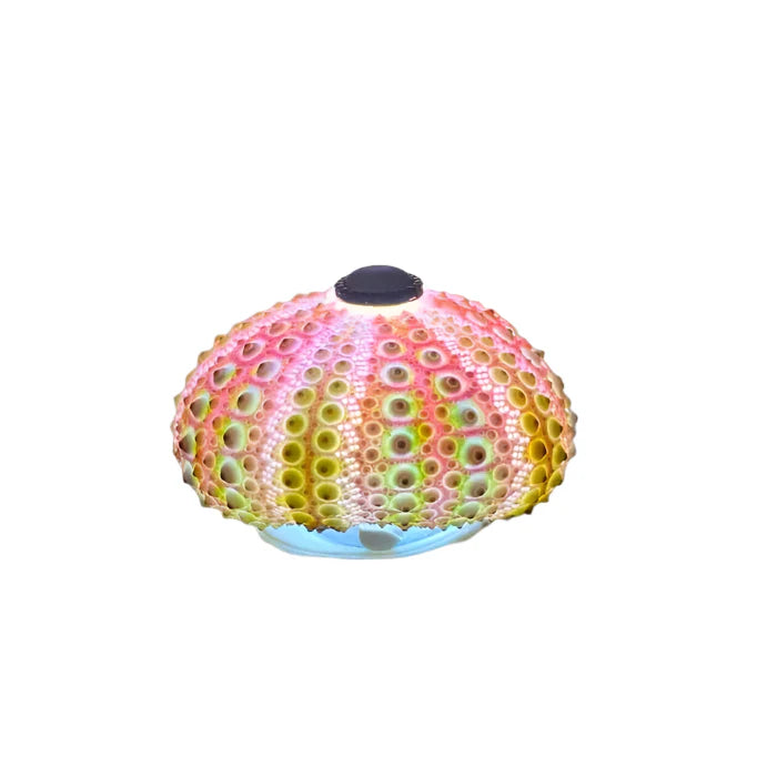 CoastalGlow - Lampe de nuit DIY Hérisson