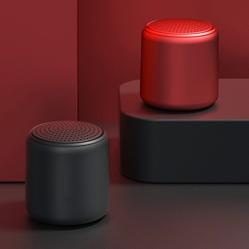 Haut-parleur Bluetooth portable