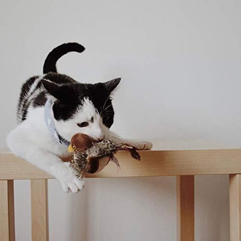 Jouet pour chat - Oiseau qui piaule en simulation