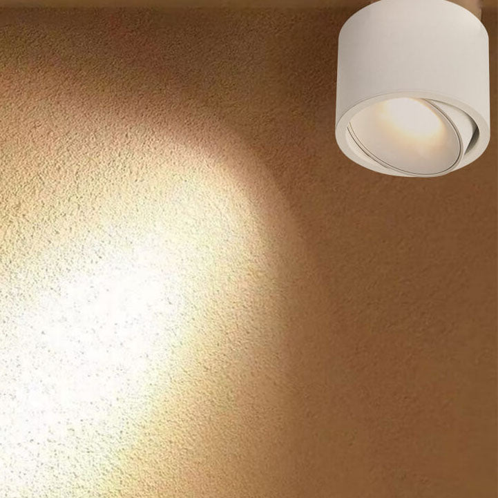 Lampe réglable Lumavision pour la lumière naturelle