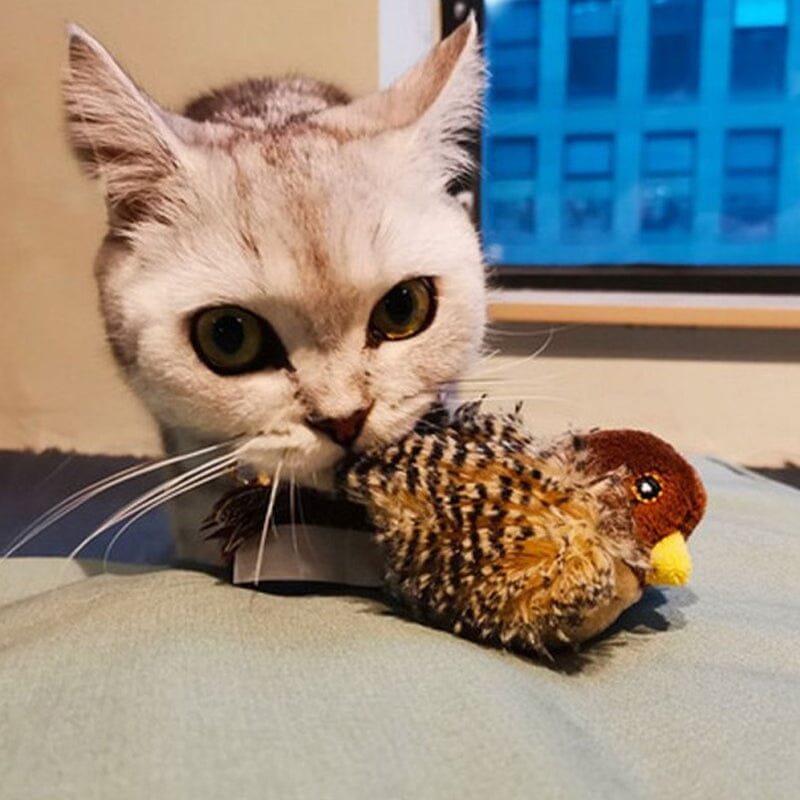 Jouet pour chat - Oiseau qui piaule en simulation