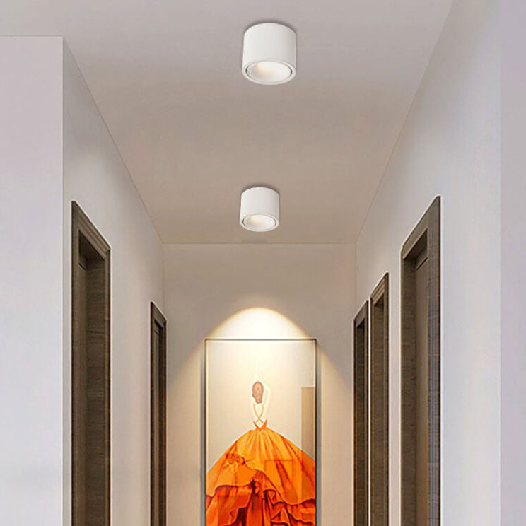 Lampe réglable Lumavision pour la lumière naturelle