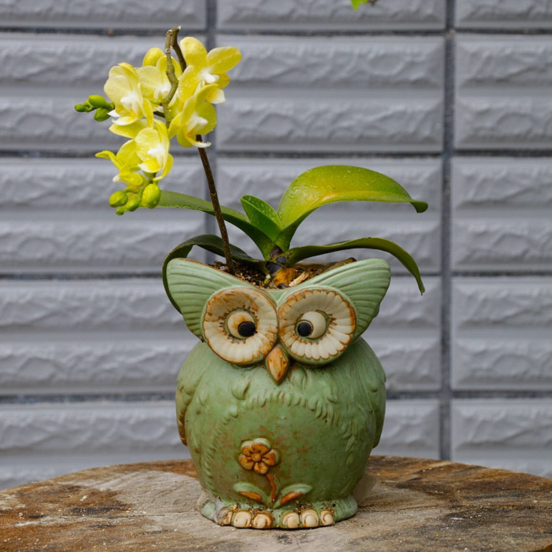 WhimsiOwl - Pot de succulentes en céramique moderne