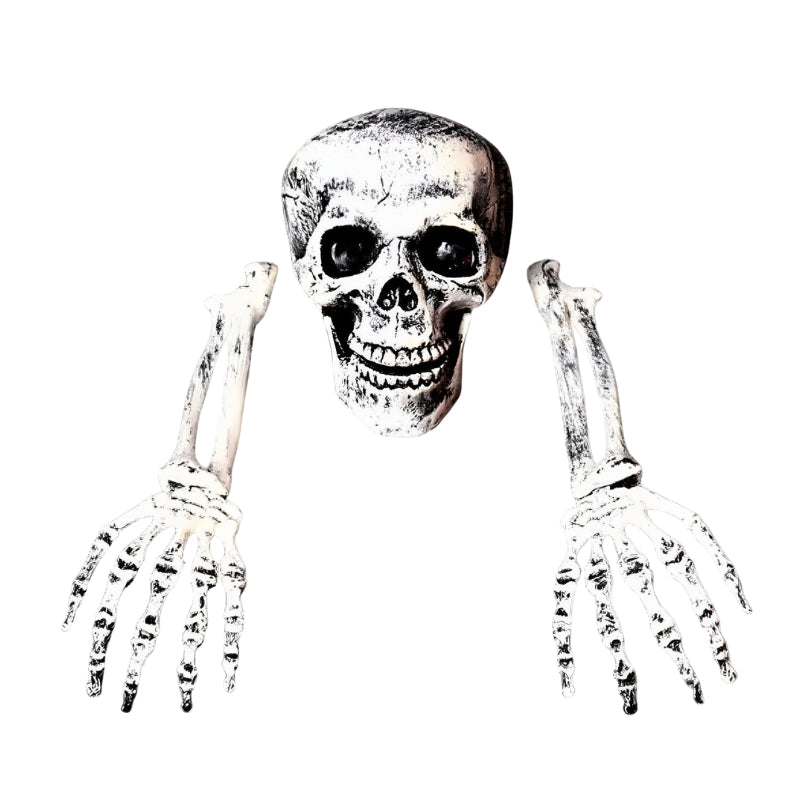 Décoration de squelette et crâne d'Halloween BoneChill – Ambiance effrayante pour fête et maison hantée