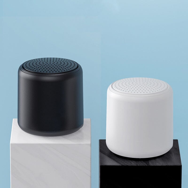 Haut-parleur Bluetooth portable