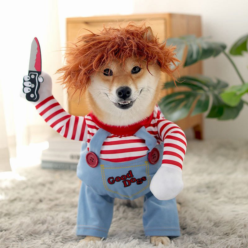 Pawfect Play – Costume amusant pour chiot