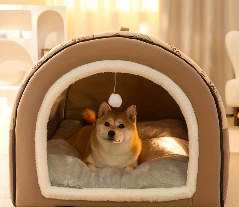 Chambre pour chien chaude et confortable