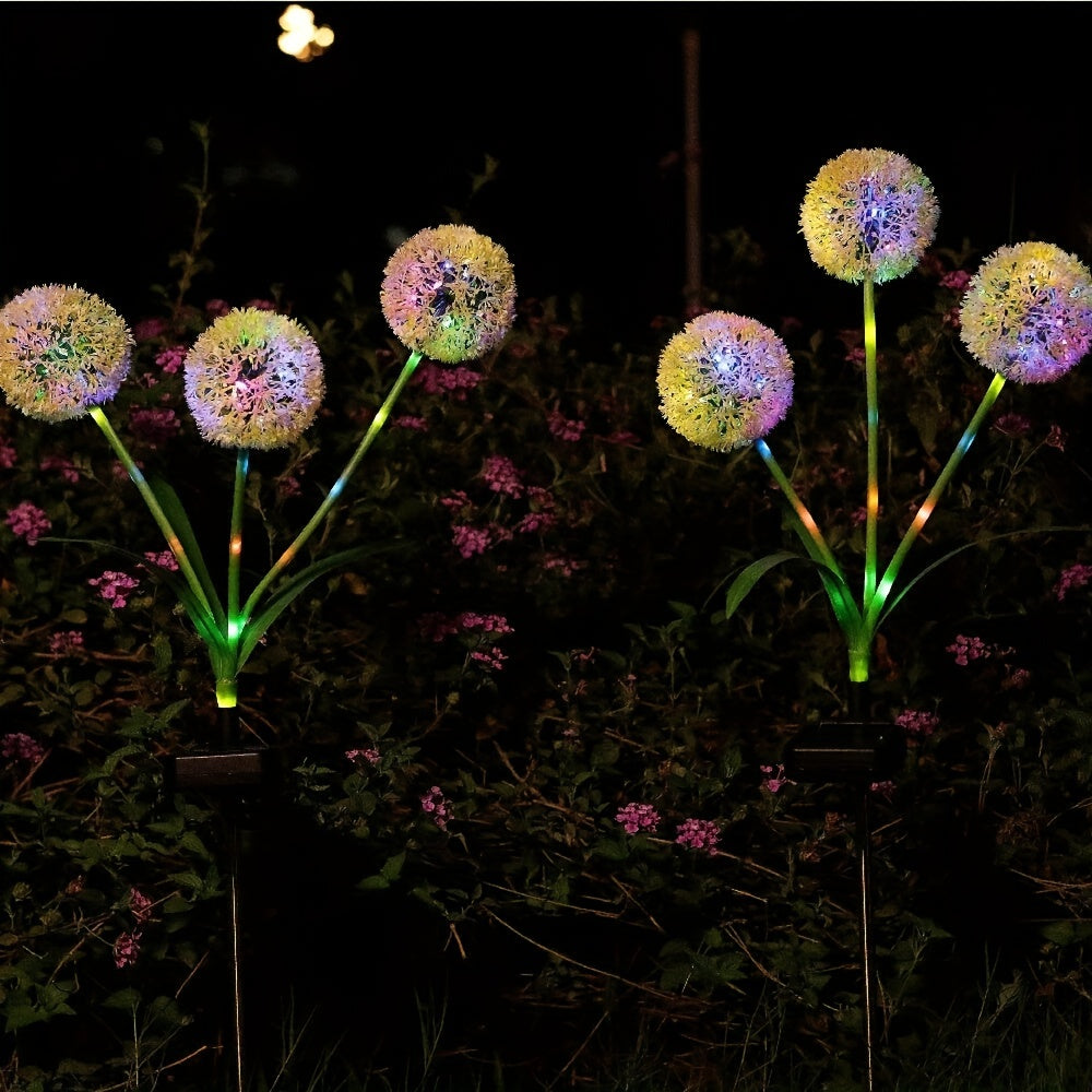 Lumières solaires dandelion rayonnantes