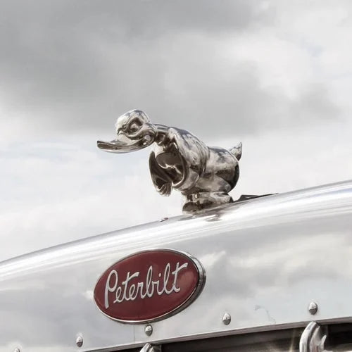CarMascot - Décoration en chrome élégante pour canard