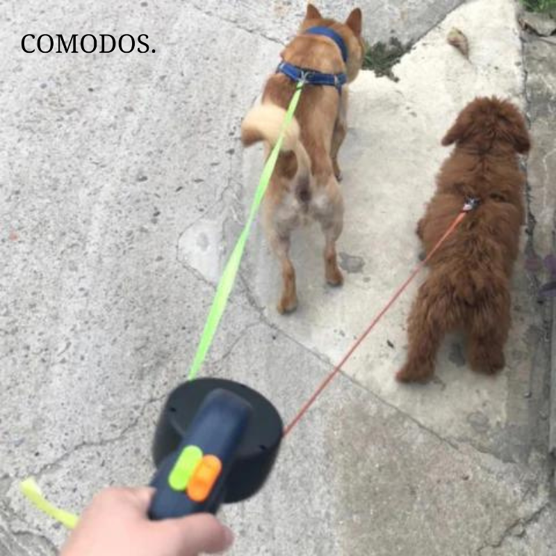 DuoStride Laisses pour Chiens | Promenades Faciles avec Votre Chien