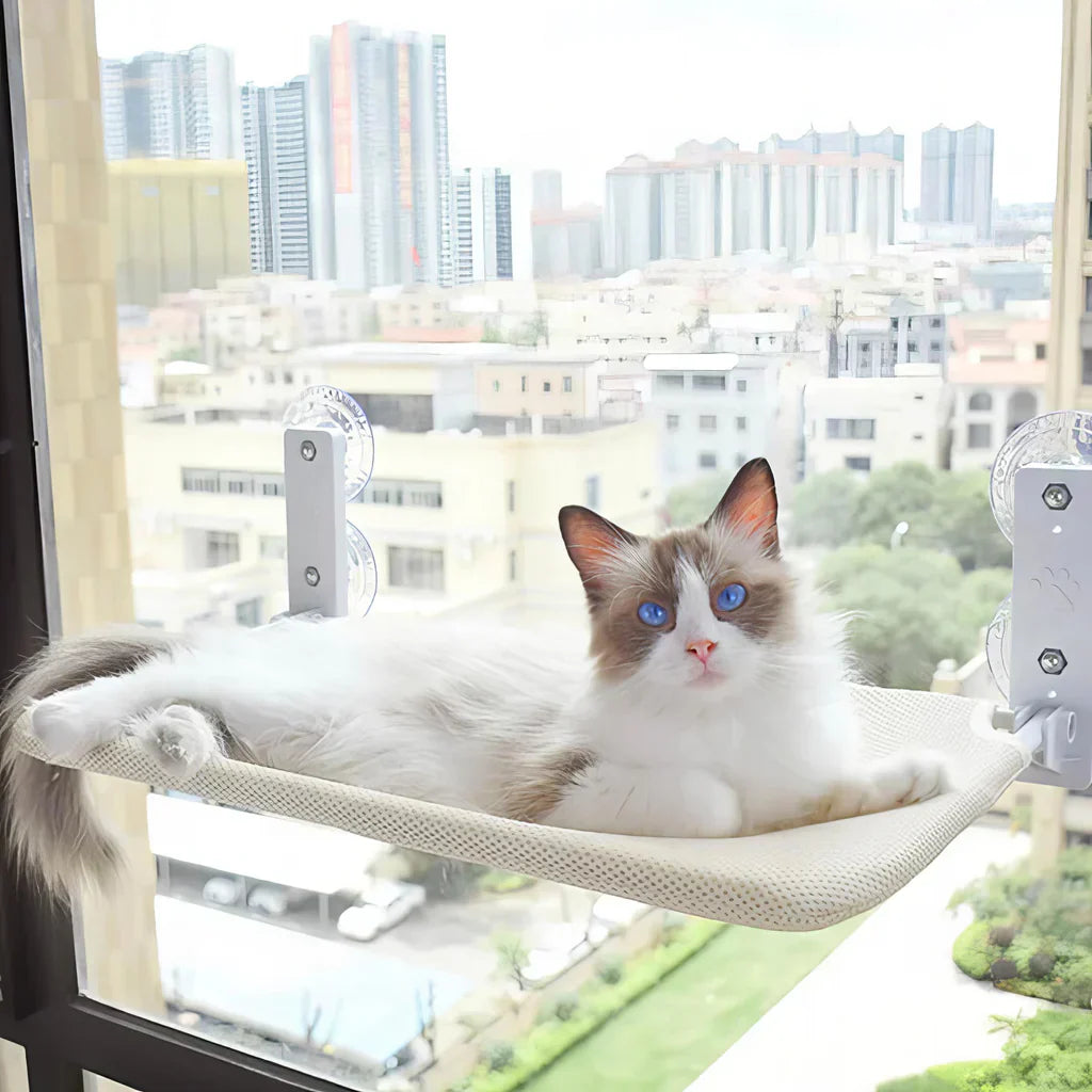 Hamac à fenêtre pliable pour chat avec housse amovible et support solide