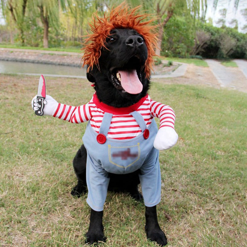 Pawfect Play – Costume amusant pour chiot