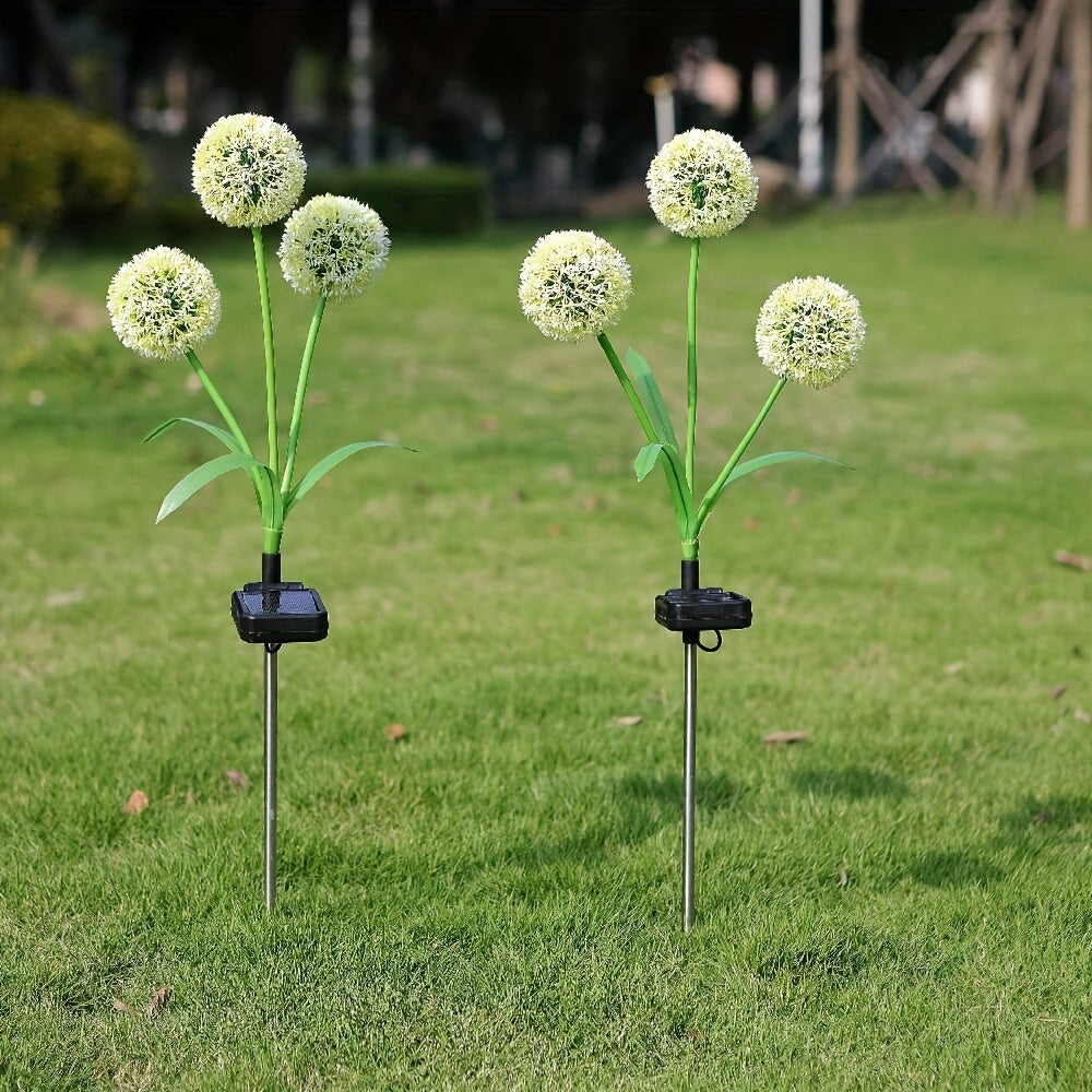 Lumières solaires dandelion rayonnantes
